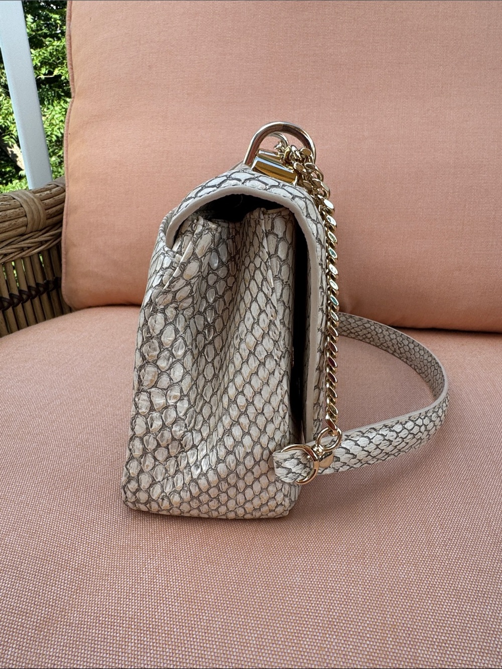 Brahmin Rosalie Oyster Grey Ellacoya Bag with Gold chain - Picture 9 of 13